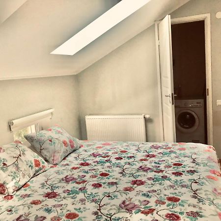 Cozy City Penthouse Apartment, Free Parking Tallinn Exterior foto